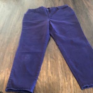 Gloria Vanderbilt Ankle Glazer